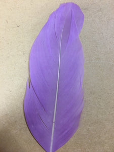 Goose Nagoire Feather Tips - AU