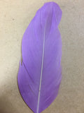 lilac goose nagoire feather tip