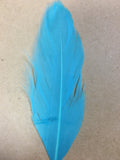 ice blue goose nagoire feather tip