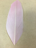 Goose Nagoire Feather Tips - AU