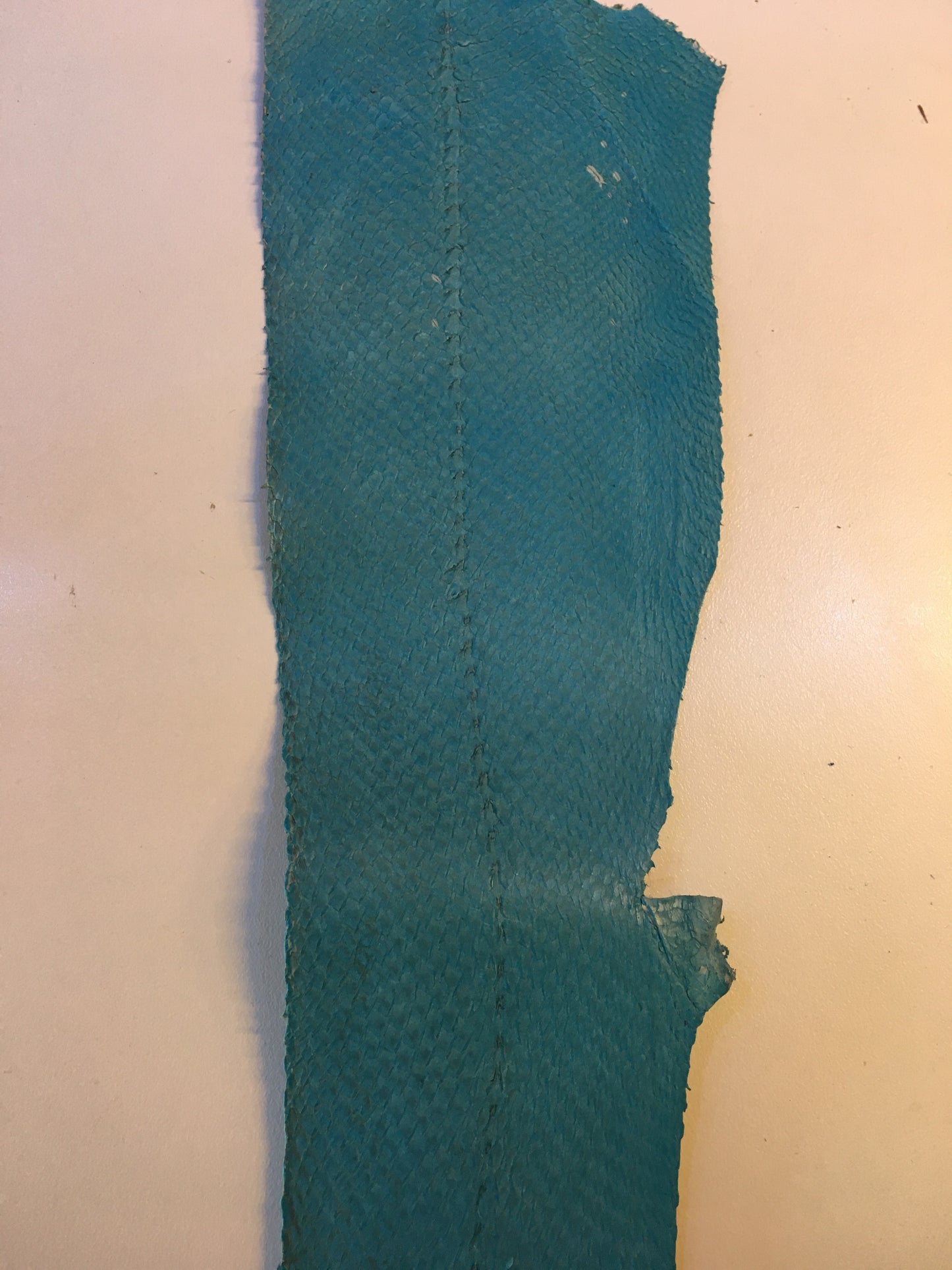 Salmon Fish Leather Piece - AU