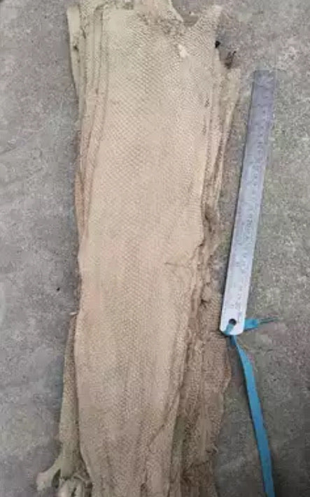 Salmon Fish Leather Piece - AU