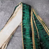 Natural Snake Skin Leather - CA