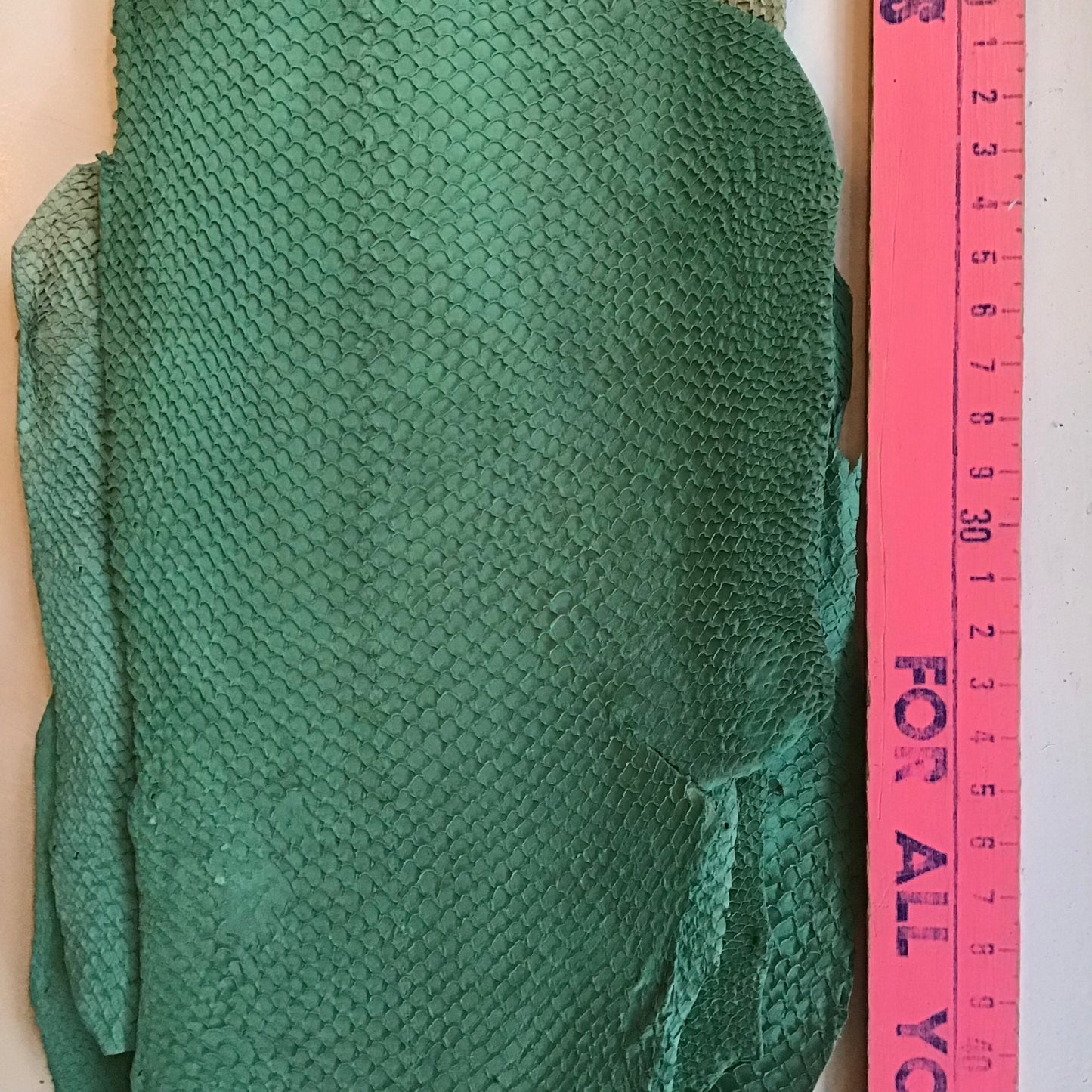 Leather: Salmon Fish - CA