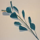Feather Branch jade