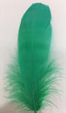 Goose Nagoire Feathers (loose) - UK