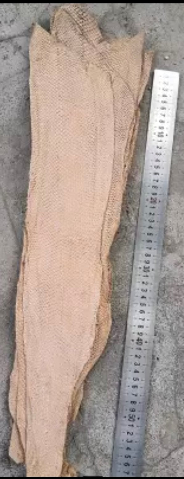Salmon Fish Leather Piece - AU