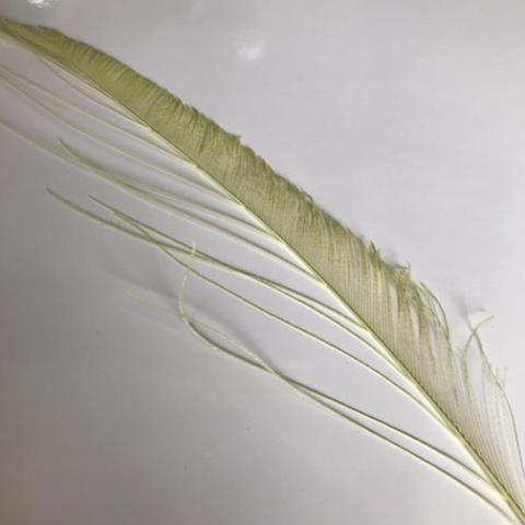 Dyed Peacock Sword [25-30cm] - AU - B Unique Millinery