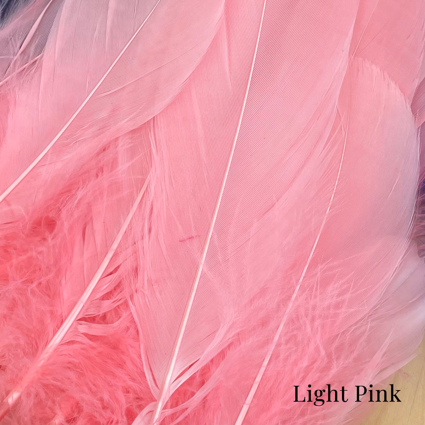 Goose Nagoire Feathers (loose) - UK