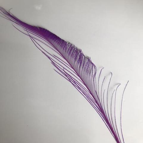 Dyed Peacock Sword [25-30cm] - AU - B Unique Millinery