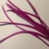 Goose Feather Biot Packs - US - B Unique Millinery