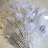 white X-Large Feather Tree 