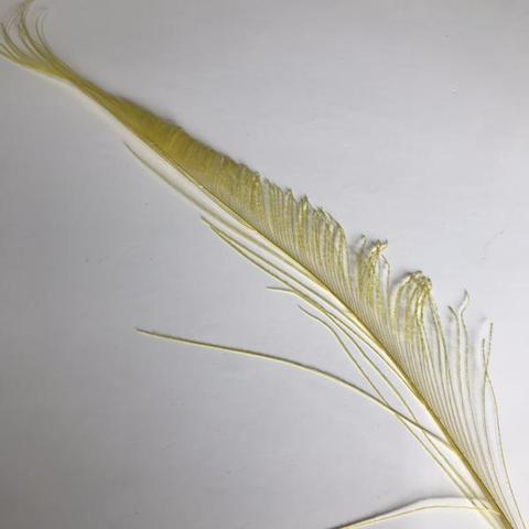 Dyed Peacock Sword [25-30cm] - AU - B Unique Millinery