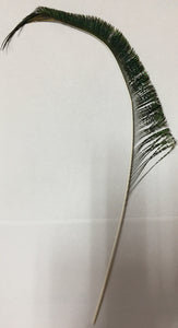 Natural Peacock Sword [30-35cm] - AU - B Unique Millinery