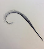 Curly Burnt Pheasant Feathers - US - B Unique Millinery