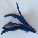 Coque Feathers - AU - B Unique Millinery