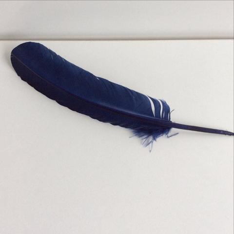 Turkey Wing Feathers  navy