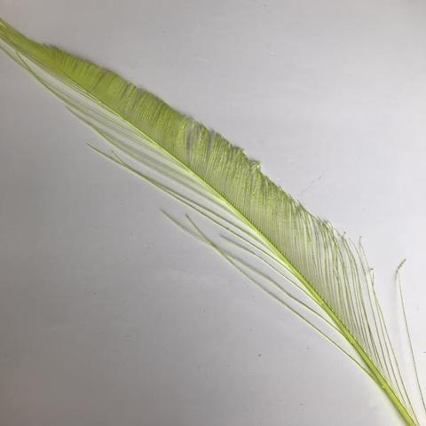 Dyed Peacock Sword [25-30cm] - AU - B Unique Millinery
