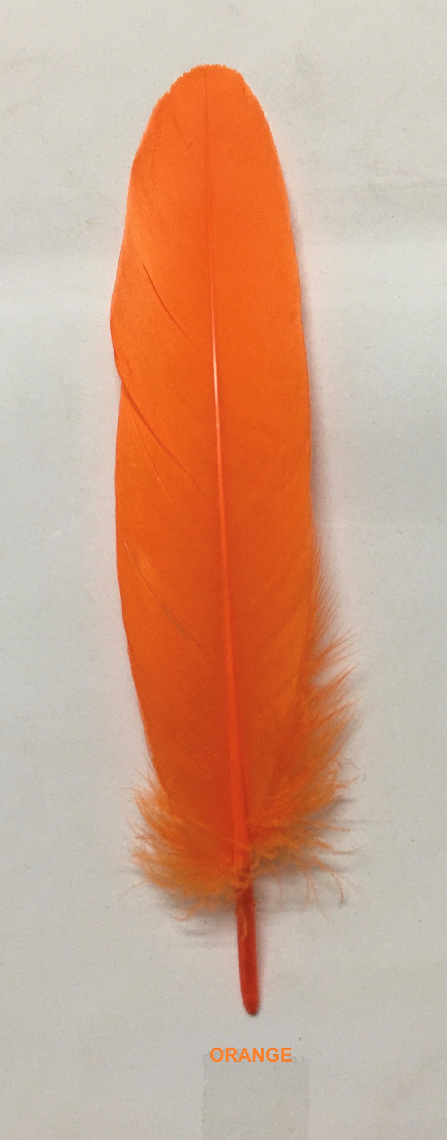 Goose Nagoire Feathers (loose) - US