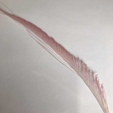 Dyed Peacock Sword [25-30cm] - AU - B Unique Millinery