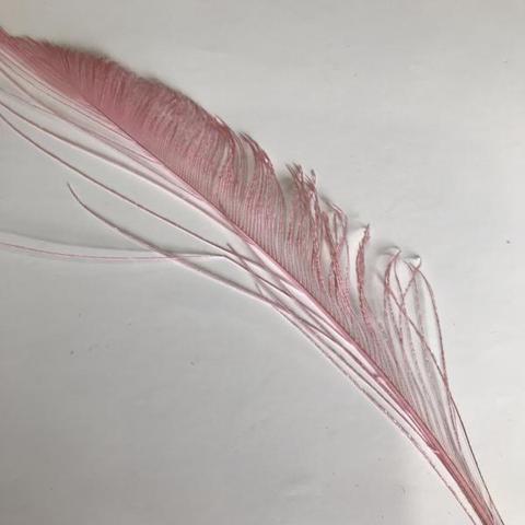Dyed Peacock Sword [25-30cm] - AU - B Unique Millinery