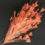 pink peach X-Large Feather Tree 