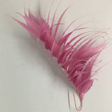 Spikey Feather Mounts (F201501) pink