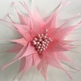 Spikey Feather Flower Minature (EF1099) pink