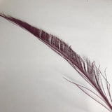 Dyed Peacock Sword [25-30cm] - US - B Unique Millinery