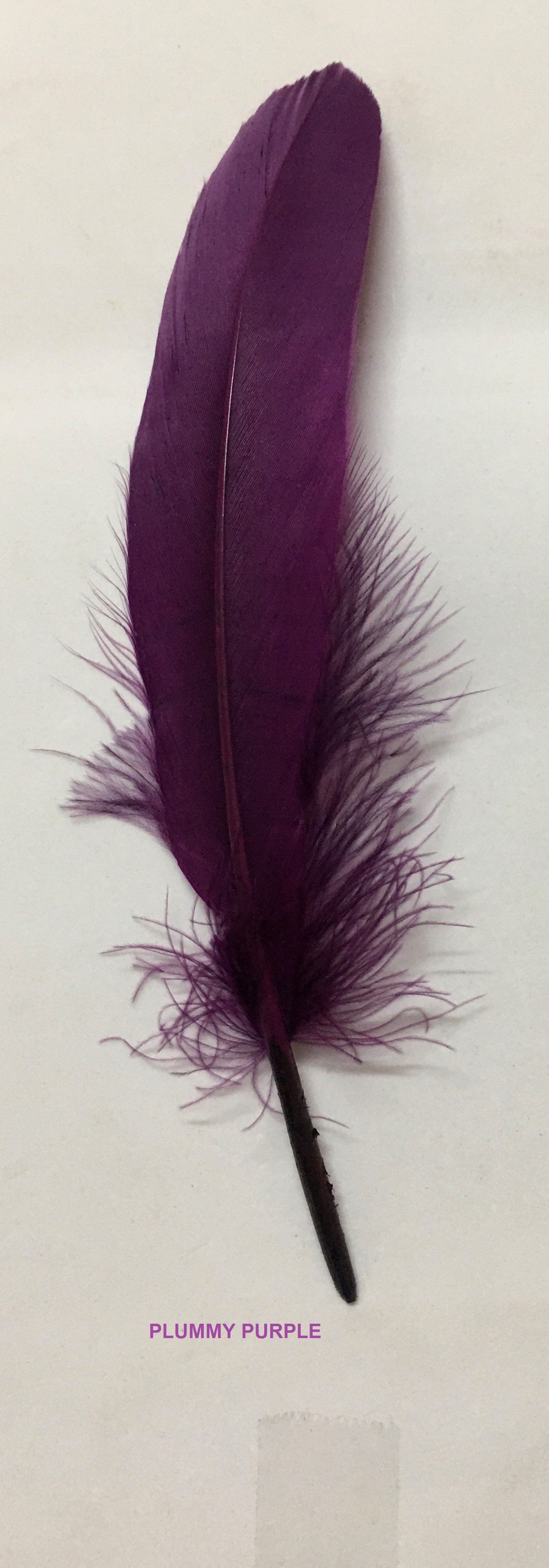 Goose Nagoire Feathers (loose) - AU