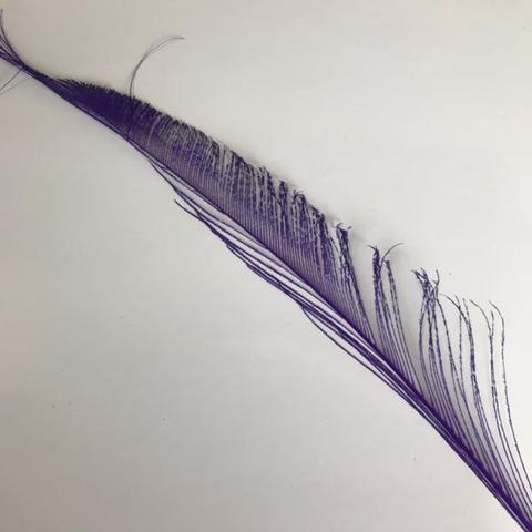Dyed Peacock Sword [25-30cm] - AU - B Unique Millinery