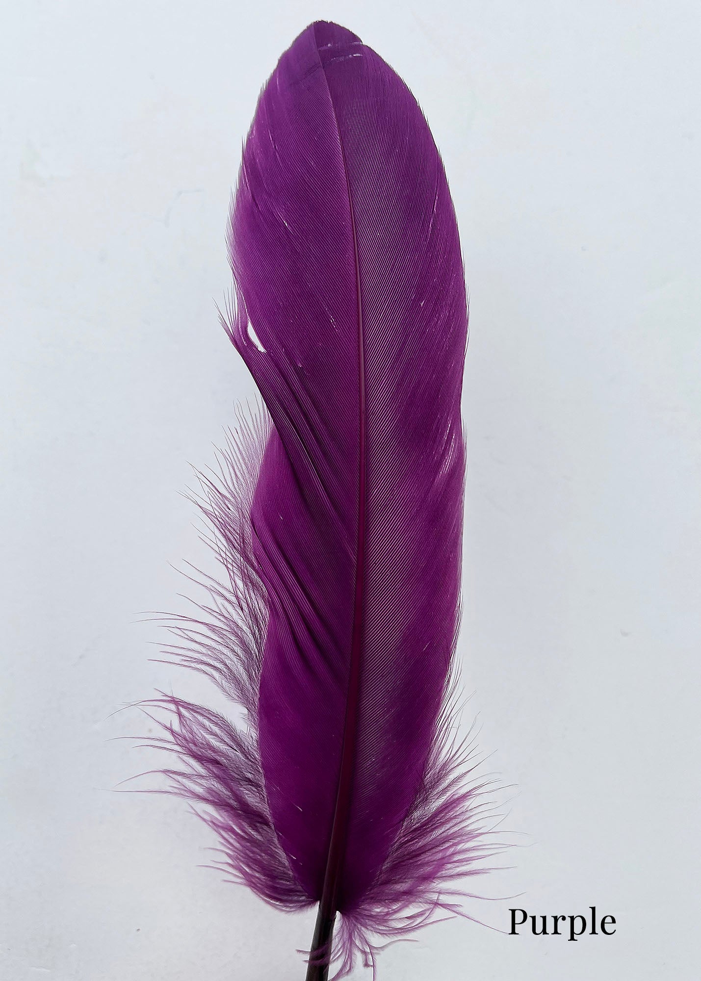 Goose Nagoire Feathers (loose) - UK