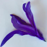 Coque Feathers - AU - B Unique Millinery