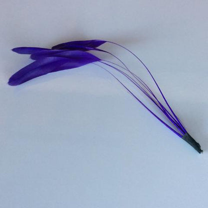 Coque Feathers - AU - B Unique Millinery