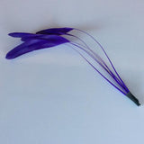 Coque Feathers - AU - B Unique Millinery