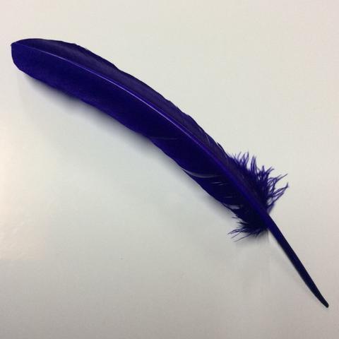 Turkey Wing Feathers  purple