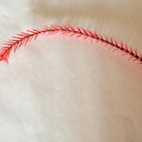 Twisted Ostrich Quill Feathers  - AU - B Unique Millinery