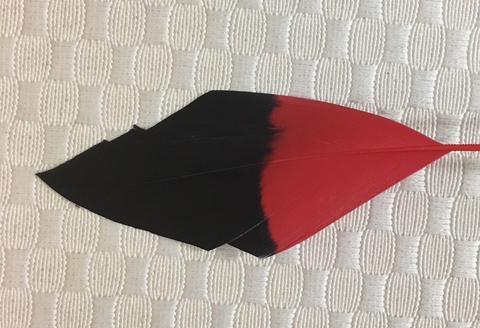 Two Tone Stiff Goose Feathers  - AU - B Unique Millinery