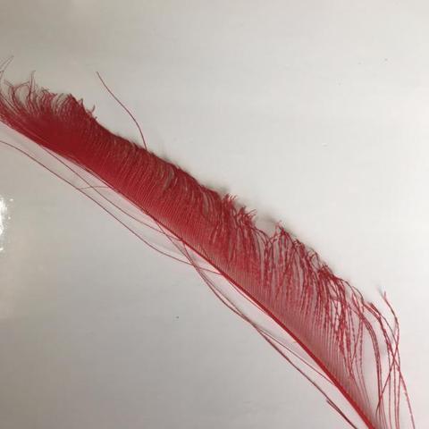 Dyed Peacock Sword [25-30cm] - AU - B Unique Millinery