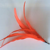Coque Feathers - AU - B Unique Millinery