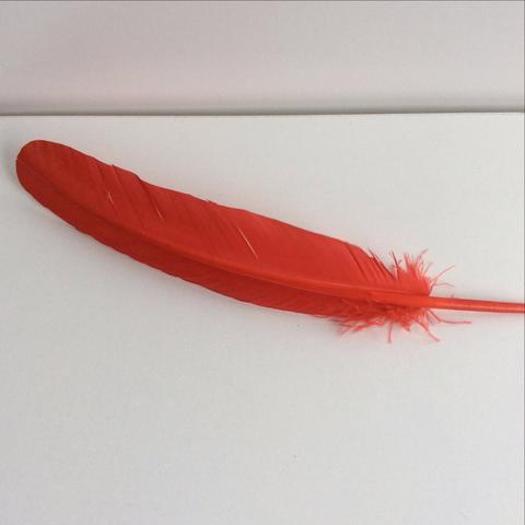 Turkey Wing Feathers red