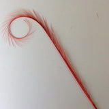 Curly Burnt Pheasant Feathers - US - B Unique Millinery