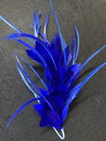 Feather Mounts (BY-FM306) - AU - B Unique Millinery