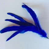 Coque Feathers - AU - B Unique Millinery