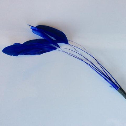 Coque Feathers - AU - B Unique Millinery