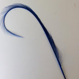 Curly Burnt Pheasant Feathers - US - B Unique Millinery