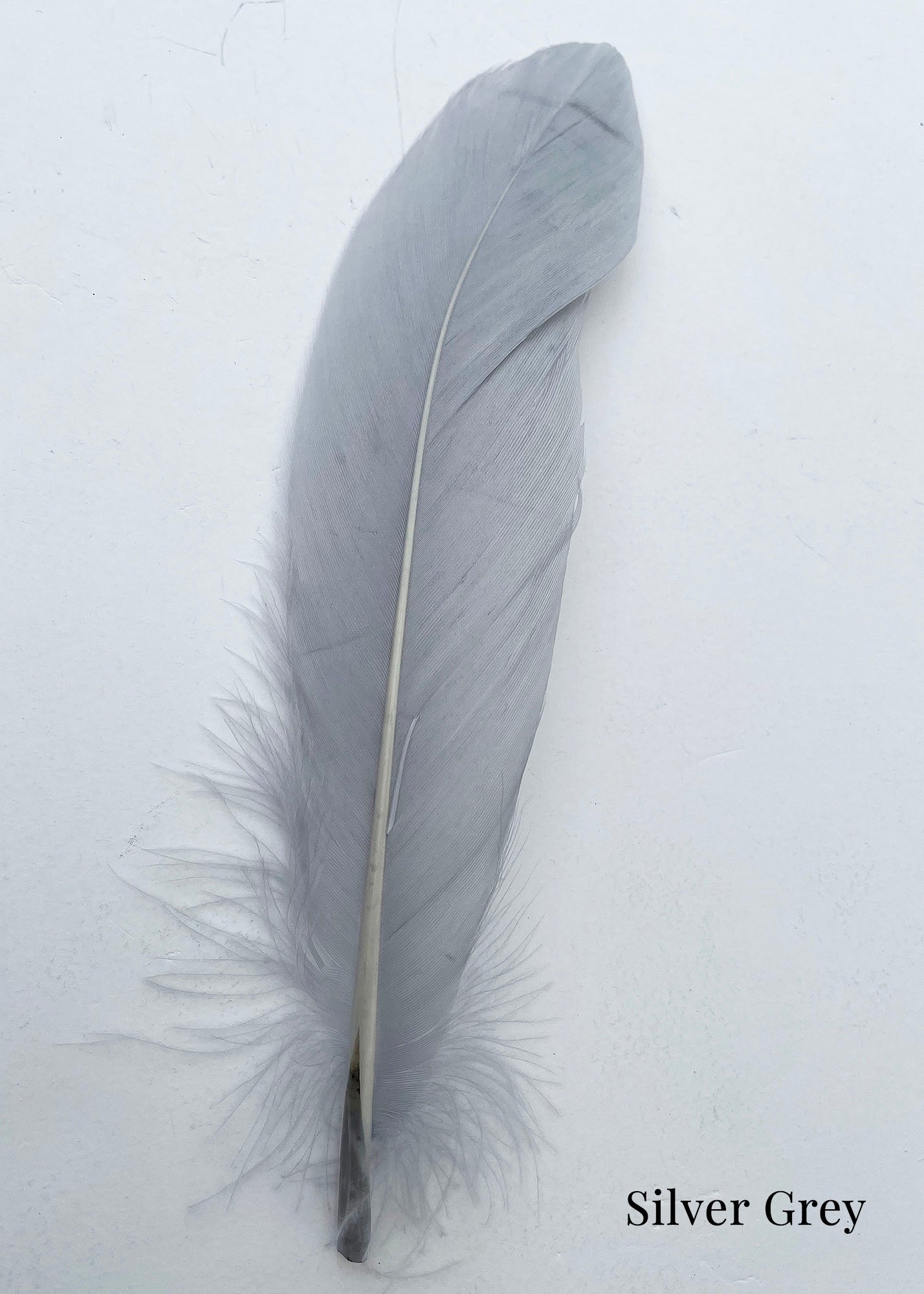 Goose Nagoire Feathers (loose) - UK