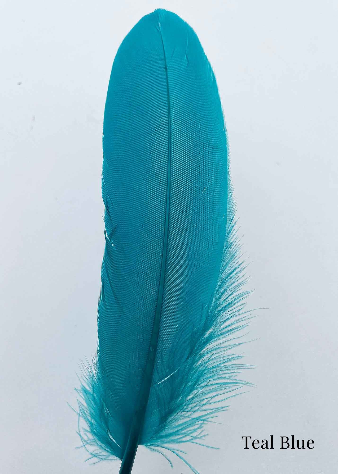 Goose Nagoire Feathers (loose) - UK