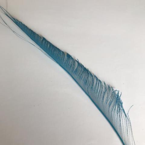 Dyed Peacock Sword [25-30cm] - AU - B Unique Millinery