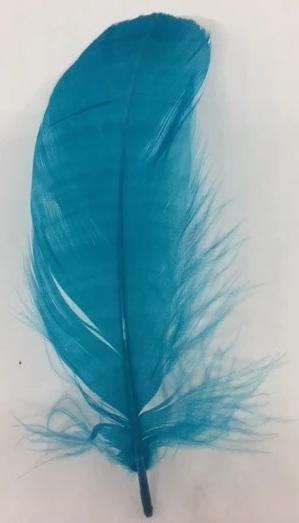 Goose Nagoire Feathers (loose) - US - B Unique Millinery
